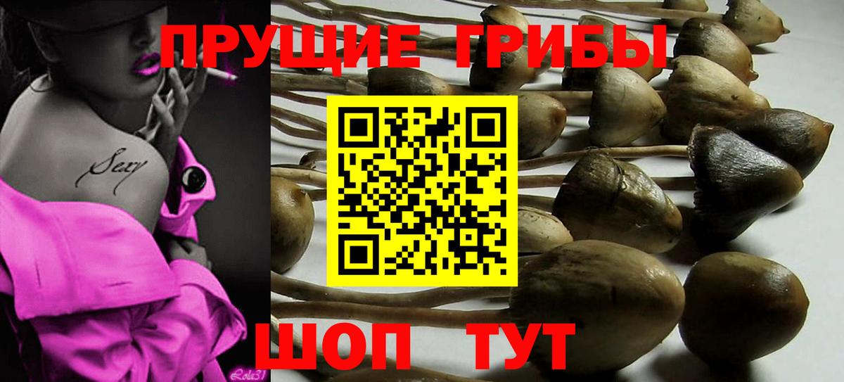 Псилоцибиновые грибы Psilocybe  Галлюциногенные грибы мухоморы  Миллерово  Вход с VPN 